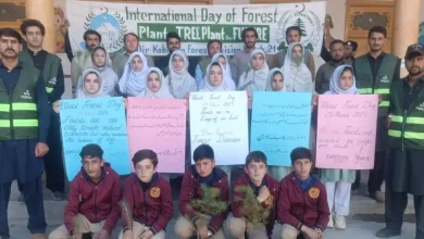 Patrak Forest subdivision celebrates International Day of Forests