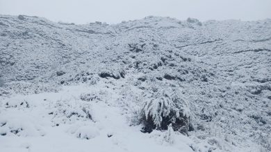 Mesmerising beauty of Lower Dir covered in Snow