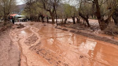 Reshun flooded after heavy rains, Chitral-Mastuj road closed
