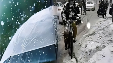 Rain and thunderstorms expected in Northern regions