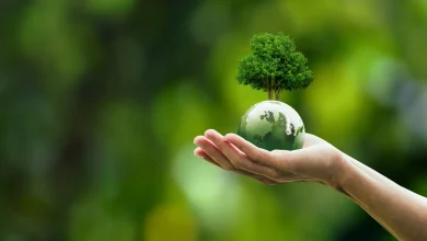 World Earth Day 2025 unites millions in push for renewable energy revolution