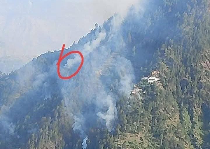 Couple dies trying to control wildfire in Shangla’s Martung tehsil