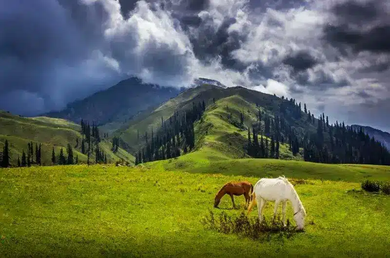 Places you must visit in Naran Kaghan – A paradise in the Himalayas