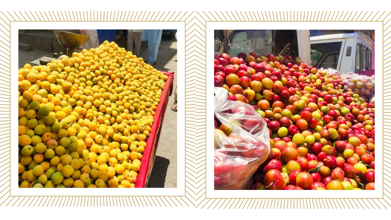 Top fruit varieties grown in Swat and Gilgit: A regional yield guide