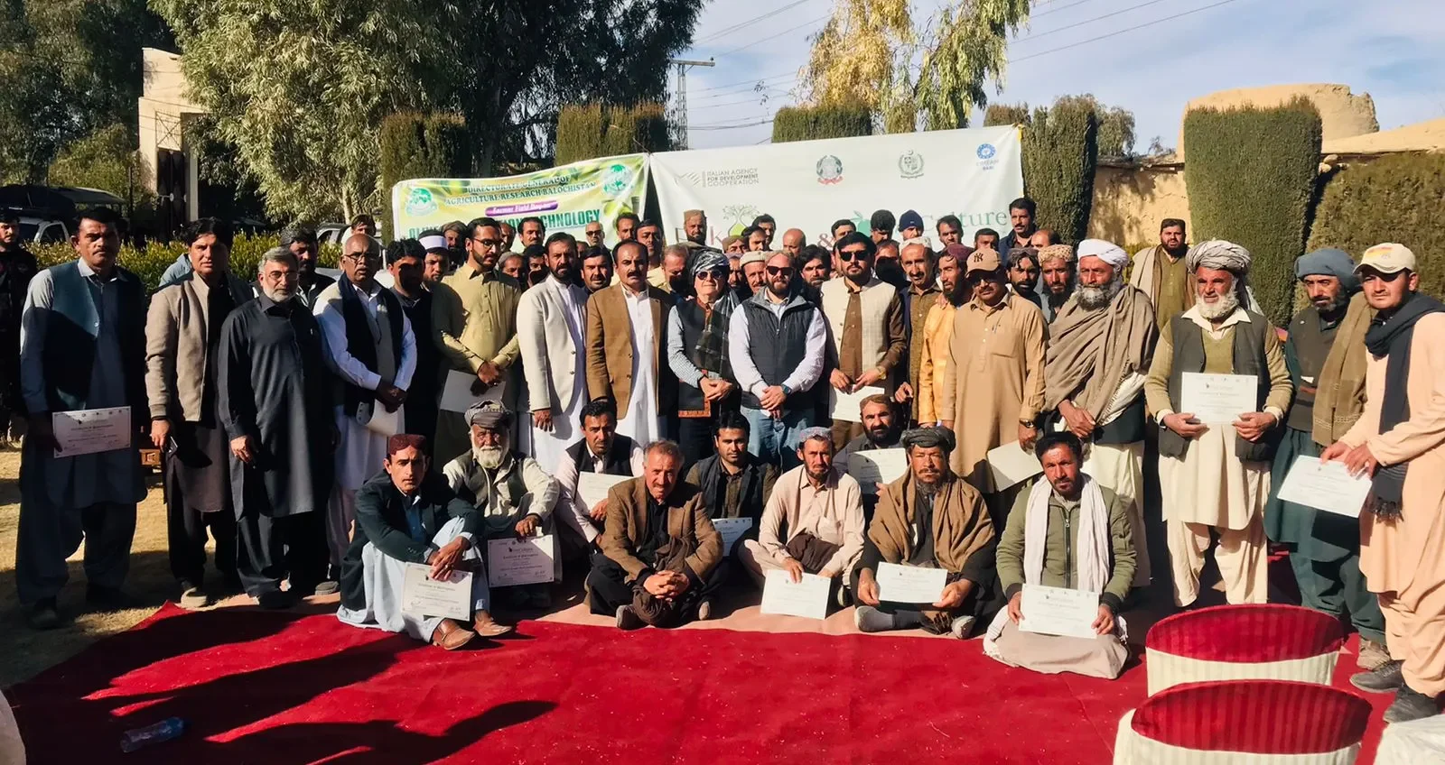 Pakistan’s olive oil earns global honor, but real story lies in soil