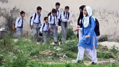 Punjab summer vacation extension challenged in court by private schools
