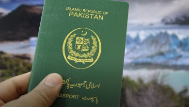 Passport renewal fee