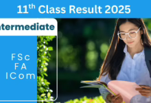 Punjab 11th class results