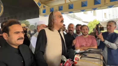Gandapur Seeks Fair Judiciary and Public Role in Restoring Order
